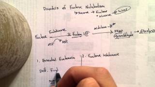 Disorders of Fructose Metabolism [upl. by Serolod]