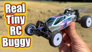 Cheap Micro RC Race Car Everyone Needs Losi MicroB [upl. by Nayrb]