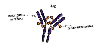 Spezifische Krebsbehandlung mit AntikörperWirkstoffKonjugaten [upl. by Tavia]