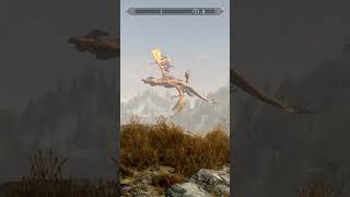 SKYRIM at its best skyrim elderscrolls [upl. by Dalila847]