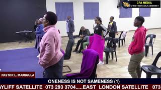 ONENESS IS NOT SAMENESS 1 by Pastor L Mjungula [upl. by Landing]