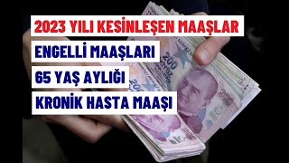 İŞTE KESİNLEŞEN 2023 ENGELLİ MAAŞLARI [upl. by Fuller]