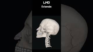 Cervical  Extensão 2  Movimento  Programa Anatomia 3D Software shorts anatomy biology [upl. by Stulin171]