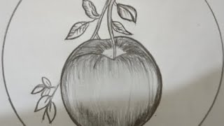 How to draw a Apple stape by stapePencil Sketch pencildrawing [upl. by Lorelle]