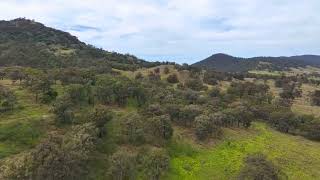 Mareeba Rd Scone [upl. by Gresham]