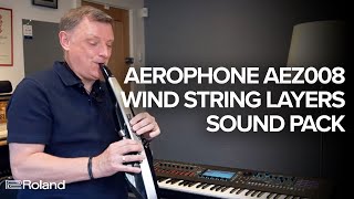 Roland Aerophone AEZ008 Wind String Layers by Matt Traum Sound Examples [upl. by Nolram]