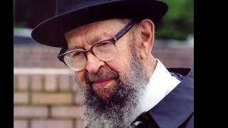 Rav avigdor miller on burning the israeli flag [upl. by Kazue69]