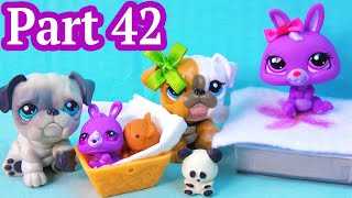 LPS Hospital Visit With Gifts  Mommies Part 42 Littlest Pet Shop Series LPS Mom Babies REUPLOAD [upl. by Enelyaj]