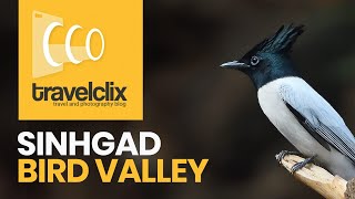 Sinhgad Bird Valley Pune Maharashtra  Bird Watching in India  Travelclix [upl. by Isabella]