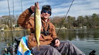 The BEST way to catch the BIGGEST Pickerel this winter [upl. by Ecerahc]