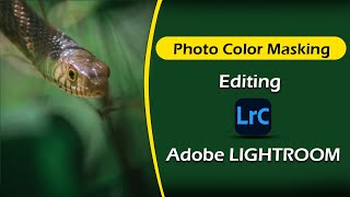 How To Adobe Lightroom Masking Photo Editing Sinhala  Wildlife Photography Sri Lanka [upl. by Atnas60]