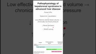 Pathophysiology of hepatorenal syndrome in advanced liver disease [upl. by Ij]