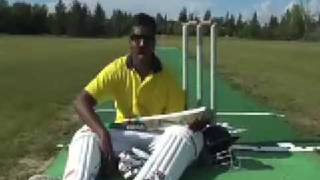 The CRICKET song by Wilbur Sargunaraj [upl. by Rizas182]