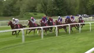 Win 4 Gr 2 York Dante Stakes 2050m [upl. by Quickman914]