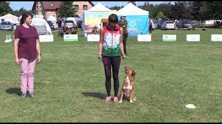 Anna amp Ginny FCI World Championship Obedience 2024 Riga [upl. by Vanessa]