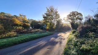 Walking about in Farleigh Woods Live 27102024  Mobile Stream 821 [upl. by Akimit]