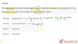 The plasmalemma allows the passage of liquids engulfed in vesicles and passed [upl. by Winters]