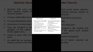 Difference between Sensory and Motor Neuron  shorts neurons sensoryneuron motorneuron [upl. by Eigram]