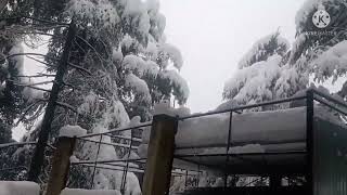 Chail snowfall [upl. by Pirri647]