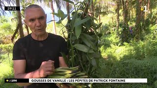 A SaintPhilippe Patrick Fontaine produit en moyenne une tonne de vanille tous les ans [upl. by Nesnej]