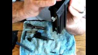 Sig Pro SP2340 SP2022 Assembly Sauer Short Trigger Disassembly Removal Installation 2 [upl. by Aharon722]