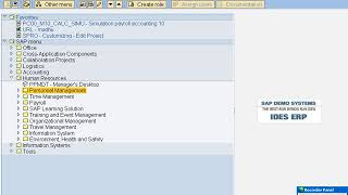 SAP HR HCM 13 [upl. by Arriek]