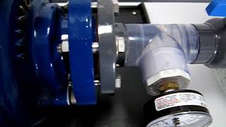 Solids Handling Video Flowserve Innomag Pump [upl. by Blatman]