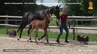 Lot 16 v Esmeraldo  Chambertin [upl. by Rastus360]