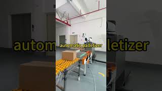 automatic palletizerrobot cobot palletizer [upl. by Melentha]