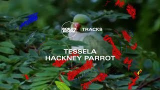 Rave belter to match the 90s originals Tesselas massive Hackney Parrot  Boiler Room [upl. by Eneleh]