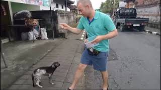 Treating Street dog for Mange itchy skin problems with 110th XL Simparica and 14 Mectin [upl. by Herson]