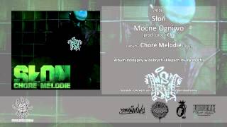 04 Słoń  Mocne Ogniwo prod Loco HCM [upl. by Chambers]