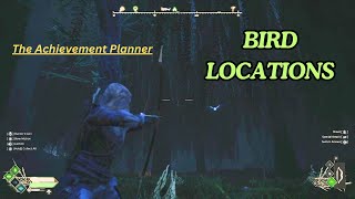 Robin Hood Sherwood Builders  BIRD LOCATIONS  quotOrnithophobiaquot achievement [upl. by Savina]