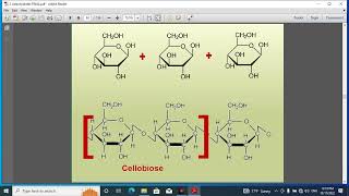 Pharmacognosy 1 lec 9 [upl. by Arun]