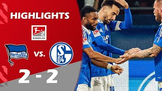 Hertha BSC gegen FC Schalke 04 22 SpielHighlights Tor  2 Bundesliga 202425 [upl. by Gilberte]