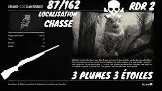 Tout Les Animaux 87162 Le Grand Duc DAmérique Localisation Red Dead Redemption 2 [upl. by Adelaide]