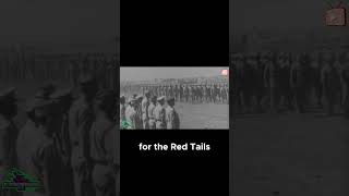 Red Tails 2012 movies TuskegeeAirmen WWII [upl. by Chill]