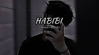 Habibi Slowed  Reverb [upl. by Lupe]