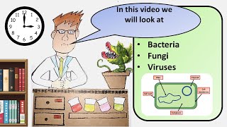 GCSE Biology Pathogens Revision [upl. by Hardden]