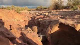 FLASH FLOOD in Arizona [upl. by Alracal]