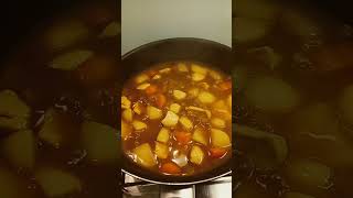 Japanese Chicken Curry shortvideo asmrcooking short [upl. by Idel]