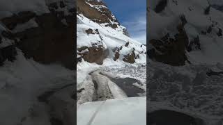 Winter Snowleopard Expidition in kibber spiti valley [upl. by Eekaz]