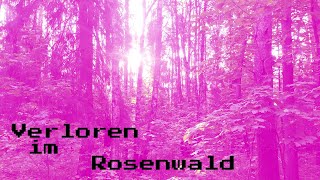 Verloren im Rosenwald Musikvideo Keller synth EPILEPSY WARNING [upl. by Cattan]