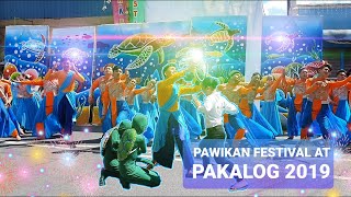 Pawikan Festival I Pakalog 2019 I DARWIN RAMOS VLOGS [upl. by Stillmann256]