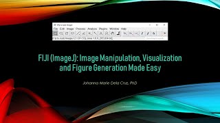 FIJI ImageJ Image Manipulation Visualization and Figure Generation Made Easy [upl. by Joceline194]