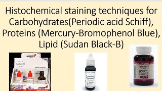 Histochemical staining techniques for Carbohydrates Proteins Lipid [upl. by Conti]