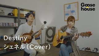 Destiny／シェネル（Cover） [upl. by Dahsraf]