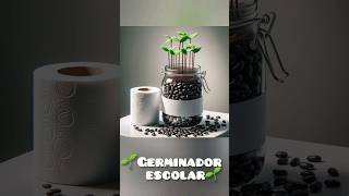 🌱 Cómo hacer un GERMINADOR de frijoles negros 🌱 [upl. by Nosreme]