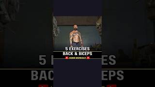 Back and Biceps Home Workout 5 simple exercises [upl. by Whitcomb420]