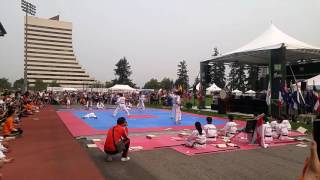 Kukkiwon Taekwondo Demonstration Team  Burnaby BC Canada Aug 05 2017 [upl. by Etnomal79]